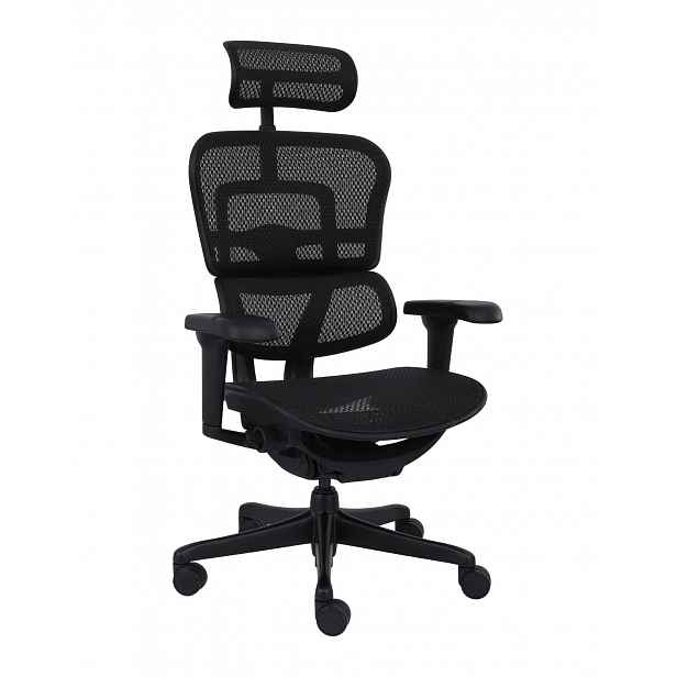 Ergonomické křeslo Ergohuman 2 Ultra BS Black