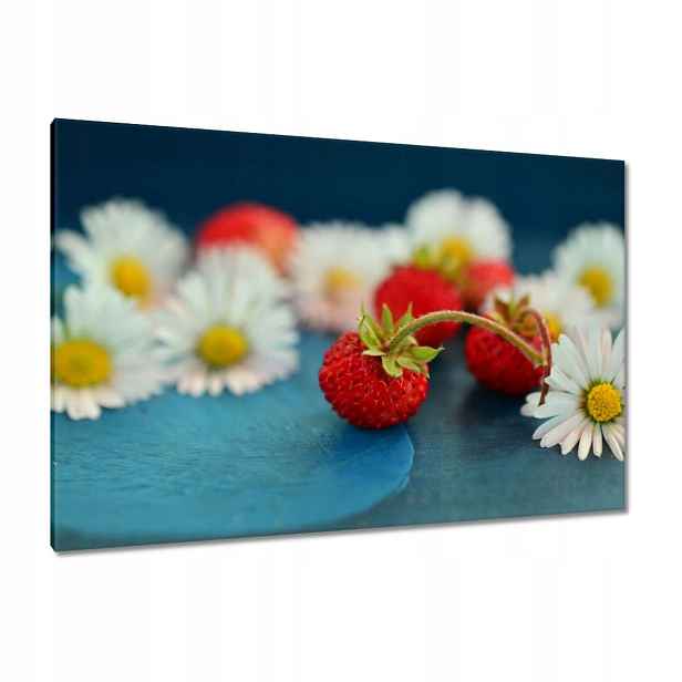 Obrazy 120x80 Úrovně a sedmikrásky