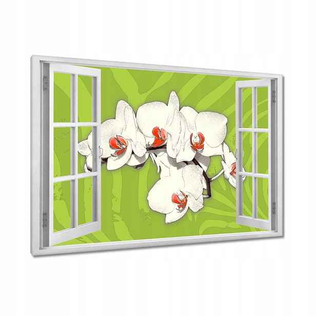 Obrazy 90x60 Limetka a orchidej