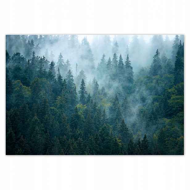 Plakáty 200x135 Les v mlze Cestování