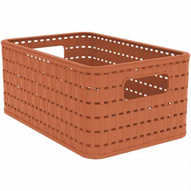 Rotho ÚLOŽNÝ BOX plast