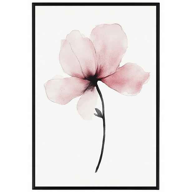 Plakát Rámeček Hliník Akvarel Příroda Zahrada Květ Růžová Magnolie 40x60