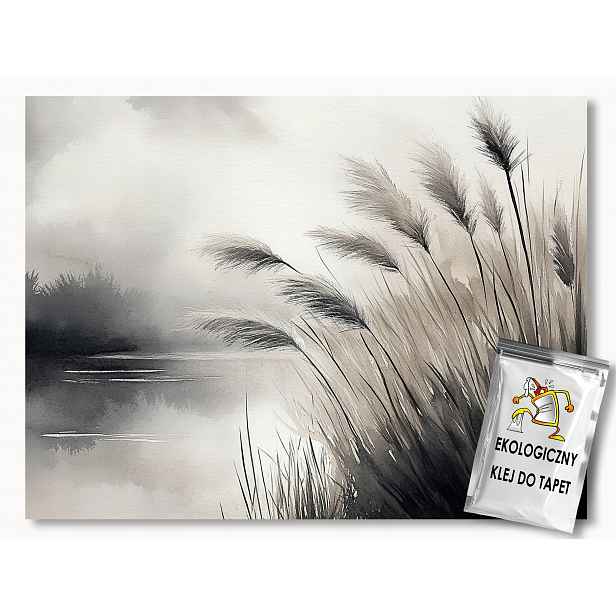 Fototapeta Flizelina Krajina Jezero Trávy Šedá Mlha 368x254 130g