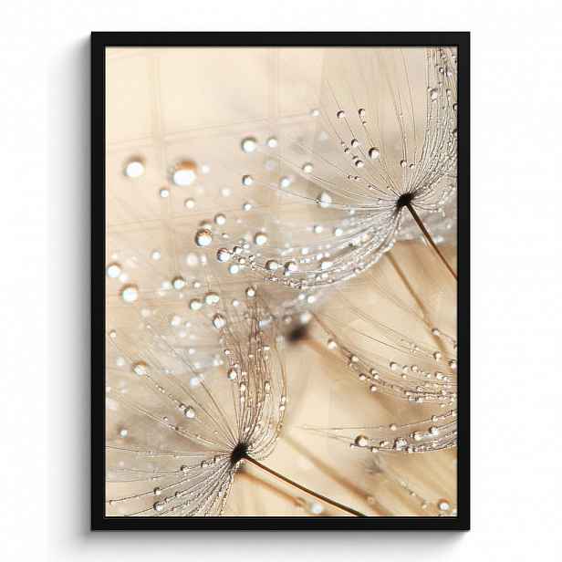 MuchoWow PLAKÁT V RÁMU Pampeliška - Abstraktní - Příroda - Béžová 60x80 cm
