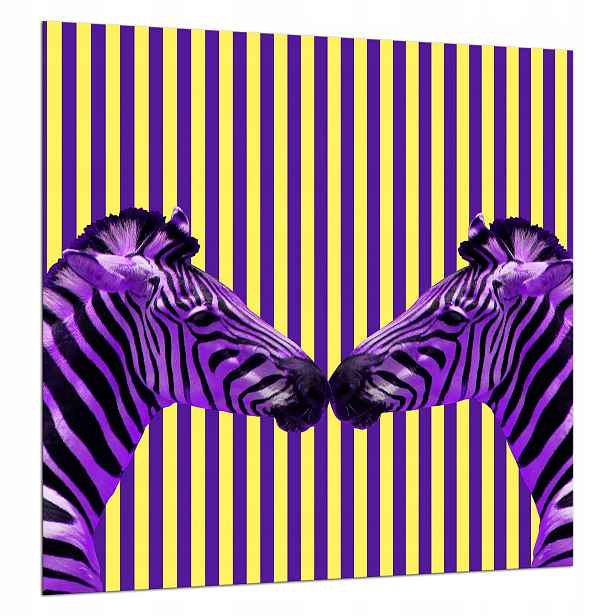 Skleněná Deska Ochranná 60x65 Zebra