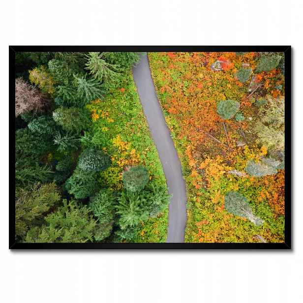 Plakáty v rámu 70x50 Cesta Les Podzim