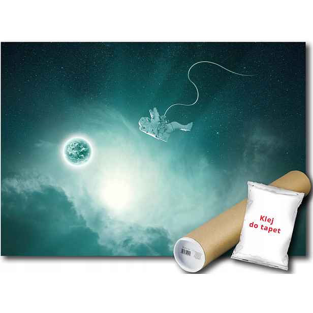Fototapeta Astronauta 5A V4 254x184 F12888
