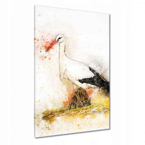 Obrazy 80x120 Čáp