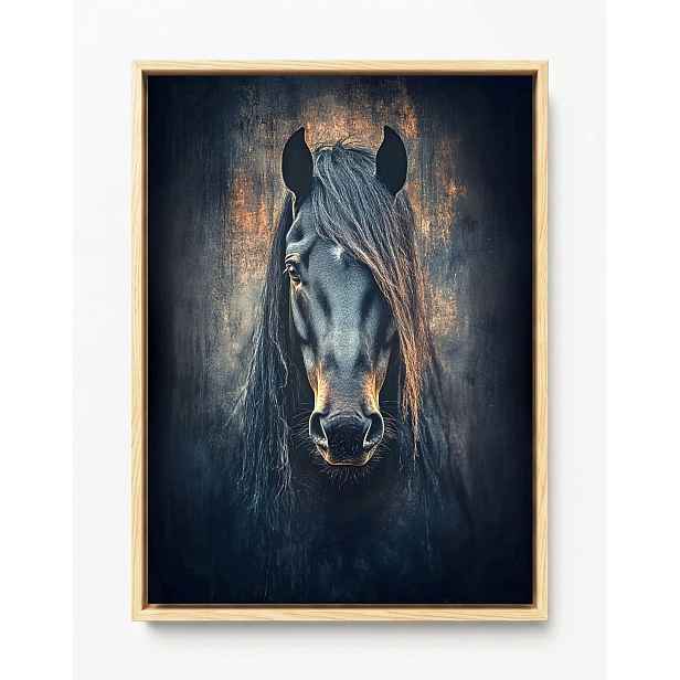 Obraz Rám Americký Box Foto Portrét Zvíře Černý Kůň Rumák Hříva 60x80
