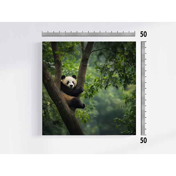 Obraz Na Plátně Canvas Zvíře Příroda Medvídek Panda Strom 50x50