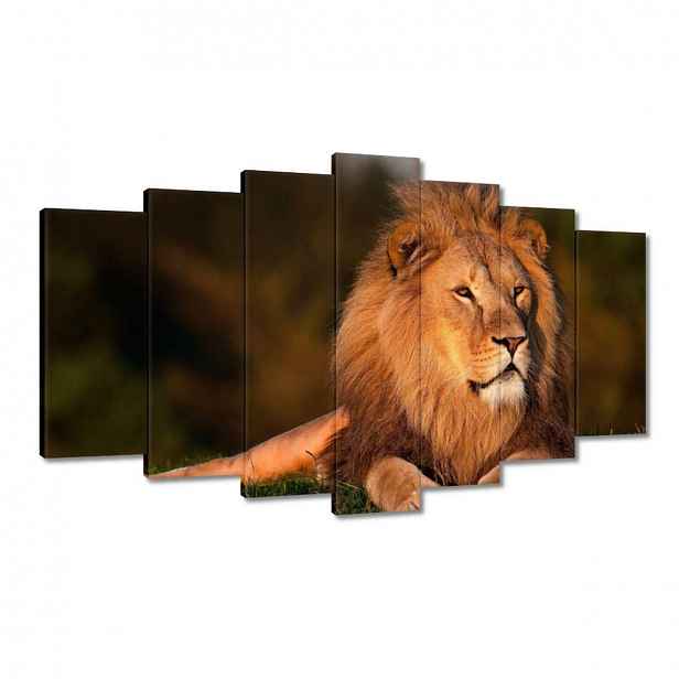 Obrazy 140x80 Lev