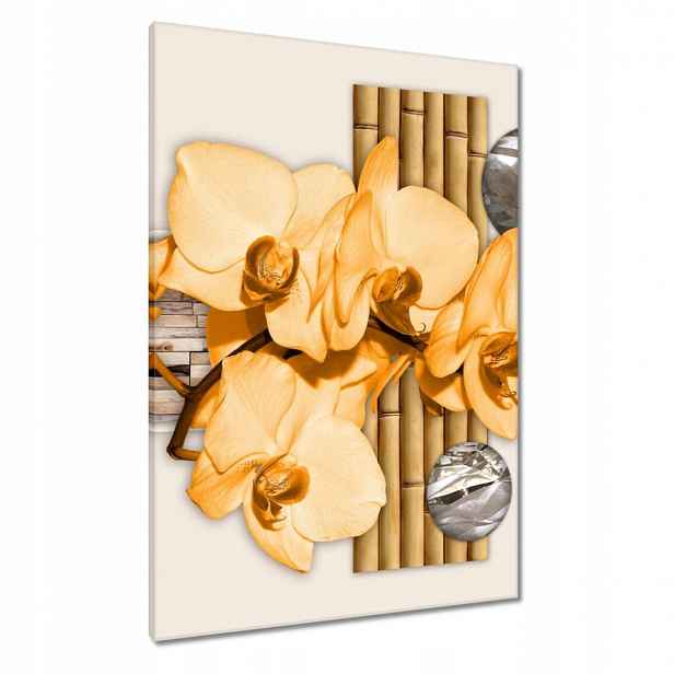 Obrazy 70x100 Oranžový orchidej