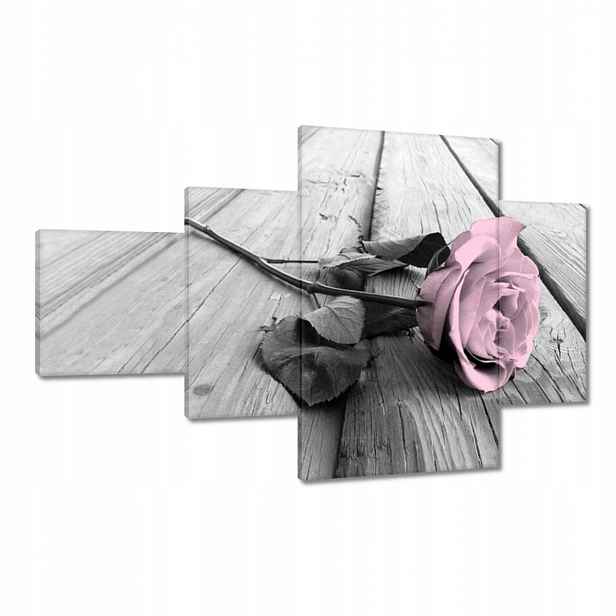 Obrazy 130x80 Pudrová růžová Old pink Rose