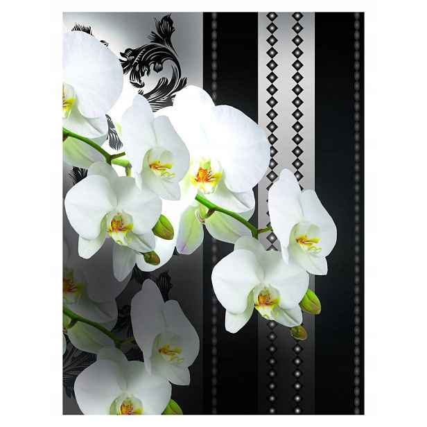 Fototapeta Bílé orchideje vinyl 184x254 elegance a harmonie do domu lepidlo