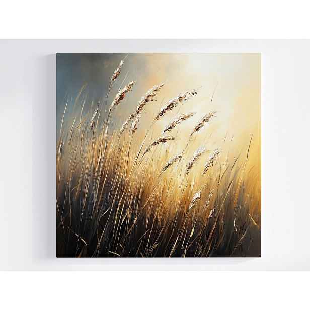 Obraz Na Plátně Canvas Příroda Tráva Obiloviny Klas Pole Louka Step Vítr 50x50