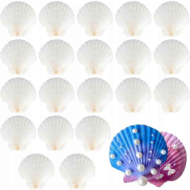 Sada Na Ozdobení Diy Malování 20X Bílé Mušle Dárek Pro Dítě