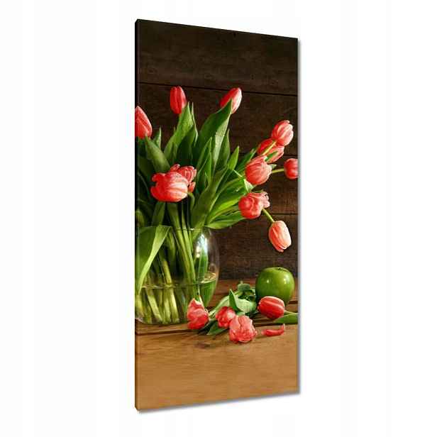 Obrazy 55x115 Červené tulipány