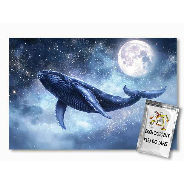 Fototapeta Flizelina Nebe Vesmír Měsíc Velryba Noc Spánek 416x254 130g