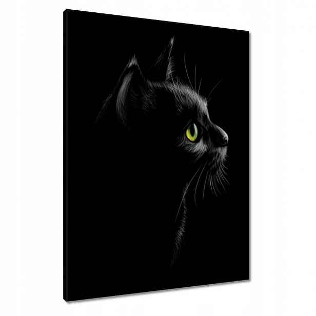 Obrazy 60x80 Černá kočička