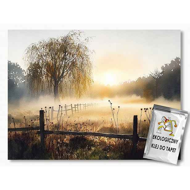 Fototapeta Flizelina Krajina Vesnice Usedlost Ráno Slunce 254x184 130g