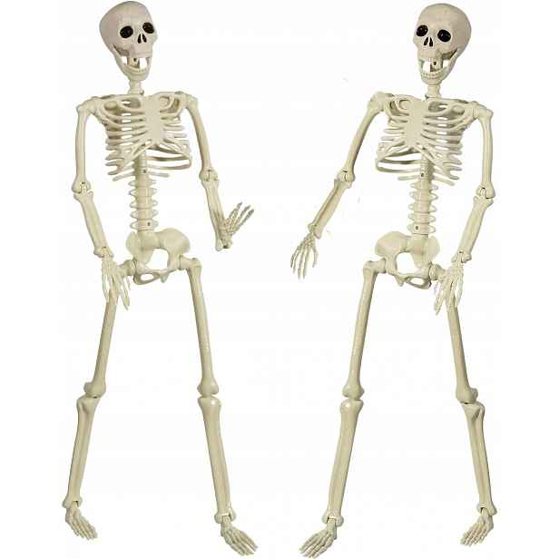 Halloweenská plastová kostra, 90 cm, s pohyblivými klouby, 2 ks