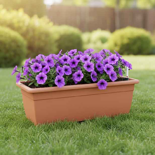 ProsperPlast Květináč BALCONY CAN | terakota 50 cm
