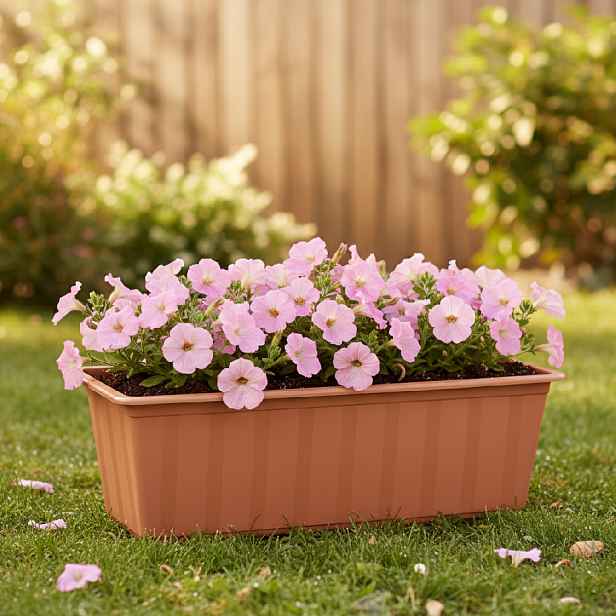 ProsperPlast Květináč BALCONY CAN | terakota 60 cm