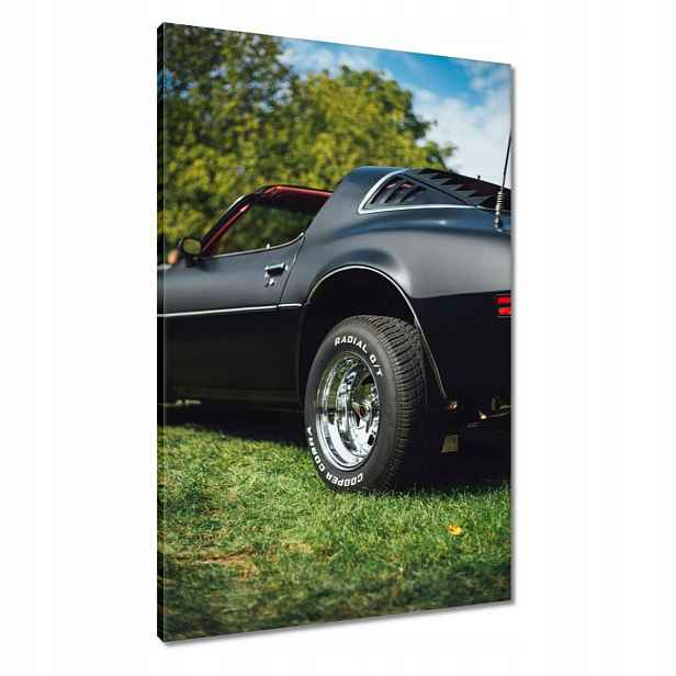 Obrazy 60x90 Automobilový průmysl Auta