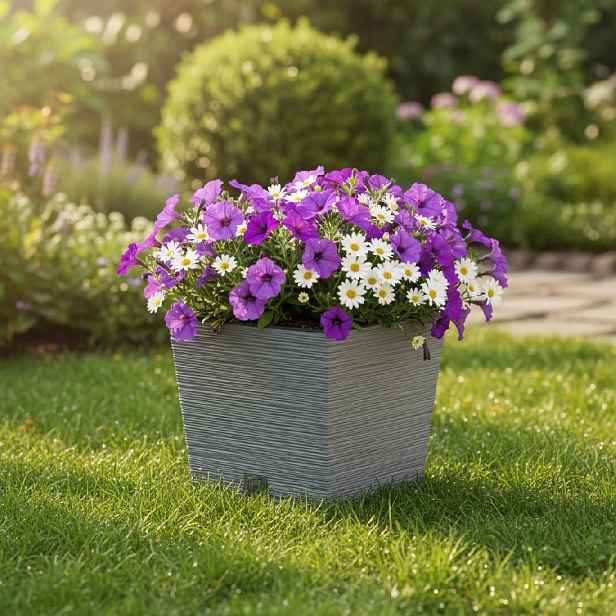 ProsperPlast Květináč FURU SQUARE LOW | beton 24 cm