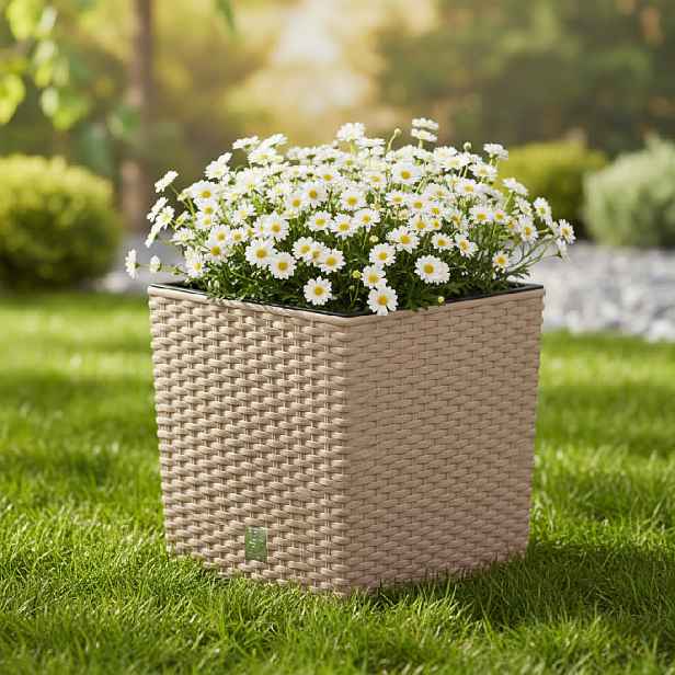 ProsperPlast Květináč RATO LOW s vkladem | mocca 40 cm