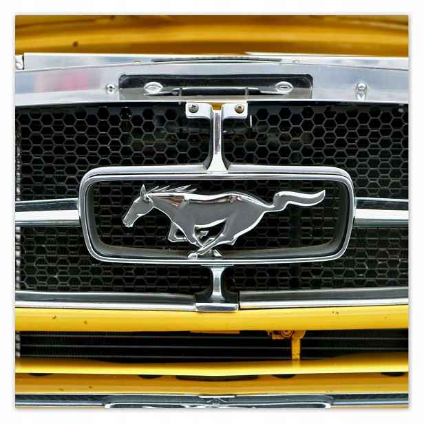 Plakáty 140x140 Známka Mustanga Ford Usa