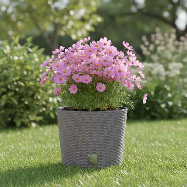 ProsperPlast Květináč RATO ROUND s vkladem | mocca 40 cm
