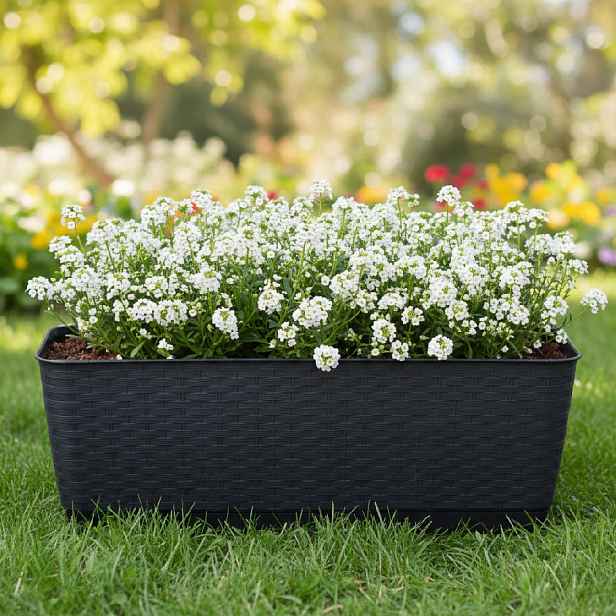 ProsperPlast Květináč RATOLLA P | antracit 49,2 cm