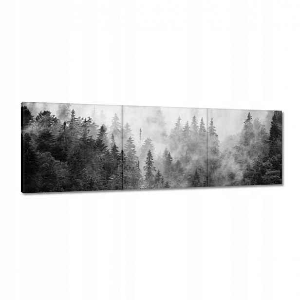 Obrazy 120x40 Krajina Šedá Hory Mlha