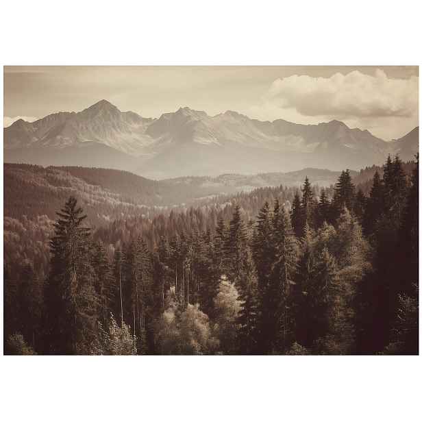 Fototapeta Les Hory Krajina Ložnice Obývací Pokoj Tapeta Flizelina 150x105