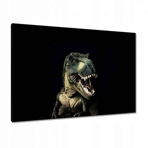 Obrazy 100x70 Tyranosaurus-t-rex černý