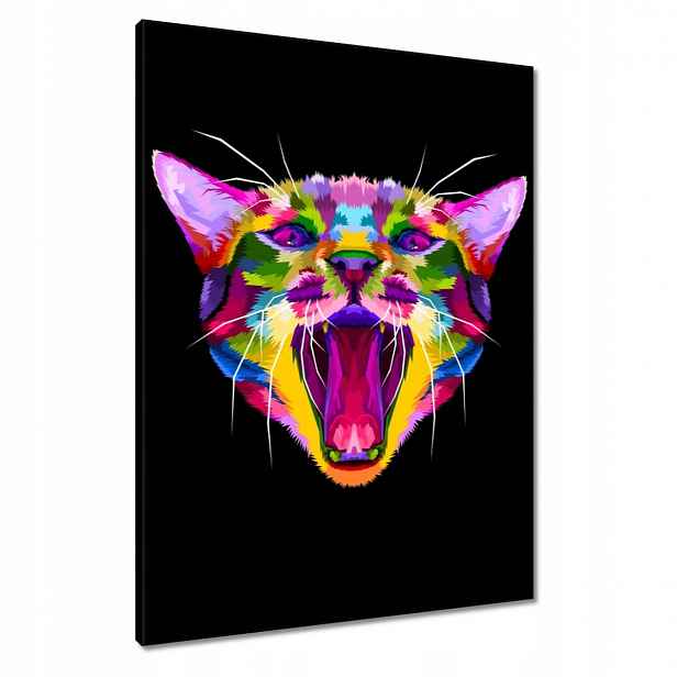 Obrazy 60x80 Abstraktní kočka