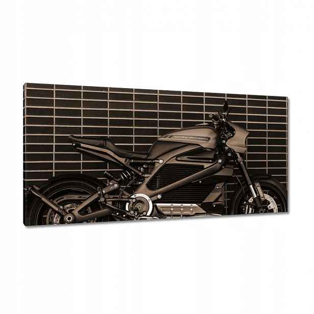 Obrazy 115x55 Harley Davidson Motocykl