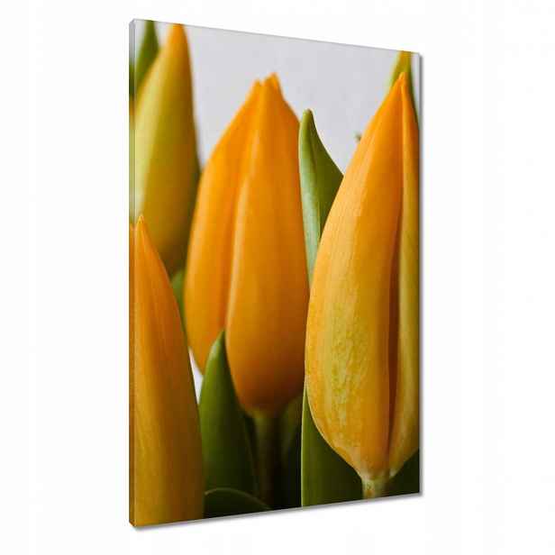 Obrazy 60x90 Žluté tulipány