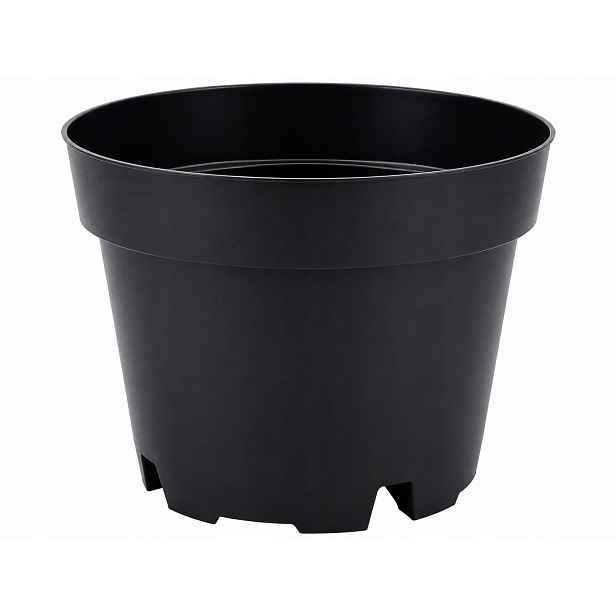 Květináč pro pěstování borůvky 19 × 15 cm 3 L 100 ks