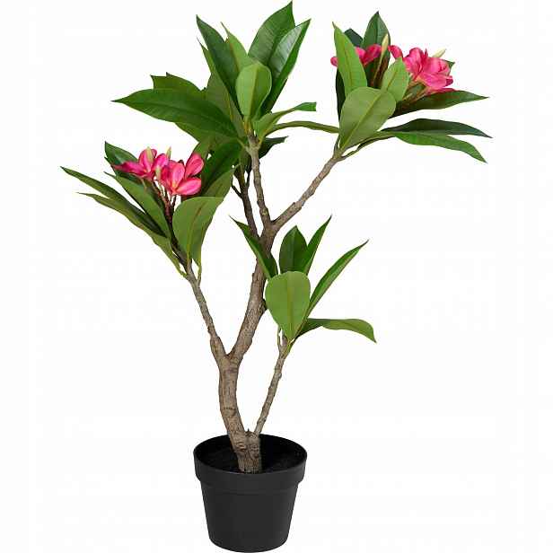 Umělý stromek v květináči Frangipani, 50 x 90 cm