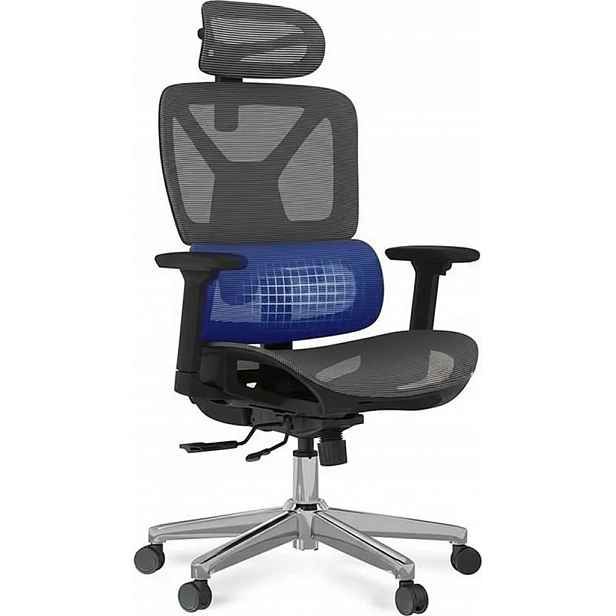 Ergonomické Počítačové Křeslo Flexispot CTDG-LITE-PRO-V2 Síťované Křeslo
