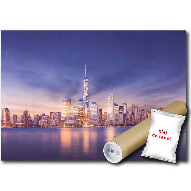 Fototapeta New York 1B V4 254x184 F13303