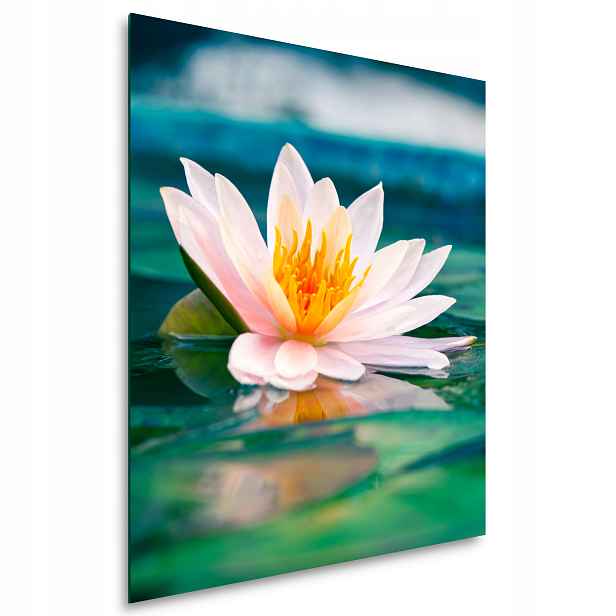 Koupelnový panel 60x80 cm libovolný vzor Bonus