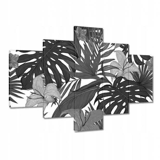 Obrazy 100x70 Černobílá monstera