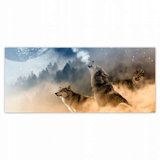 Fototapety flizelina 211x91 Vyjící vlk