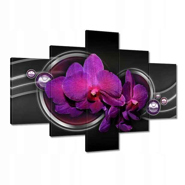 Obrazy 100x70 Fialová orchidej