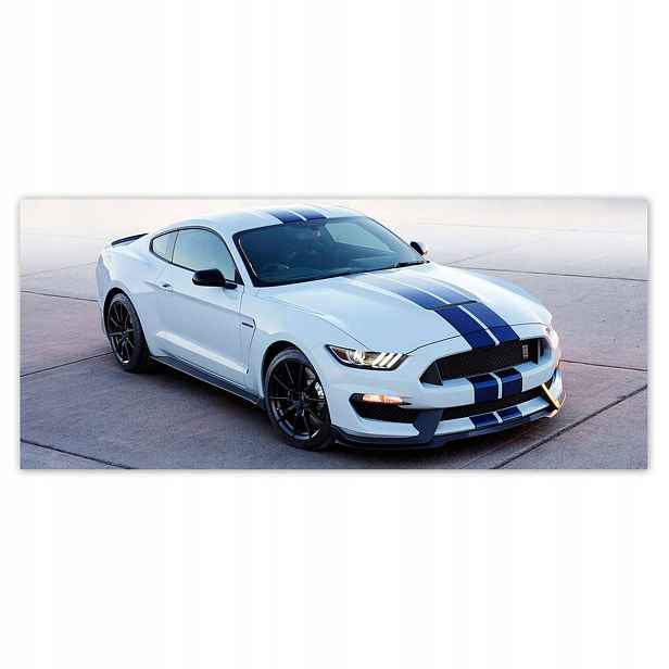 Fototapety 211x91 Ford Mustang Shelby
