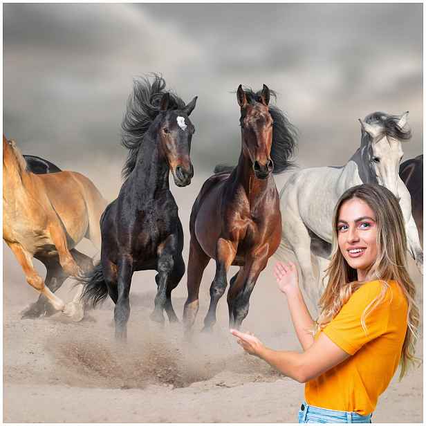 Fototapeta 3D Zvířata Kůň Koně 588x280 KK01F