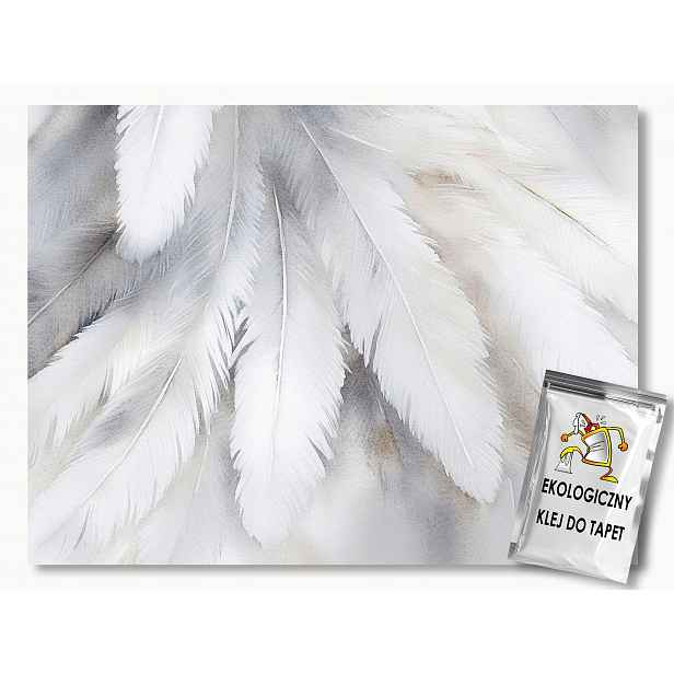 Fototapeta Flizelina Příroda Bílé Peří Puch Boho Glamour 416x290 130g